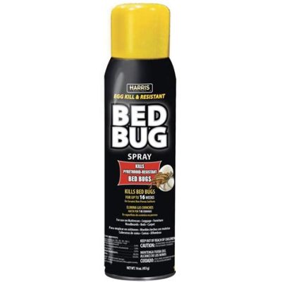 Does Bed Bug Spray Kill Fleas? And Why Do Cats Always Land on Their Feet?