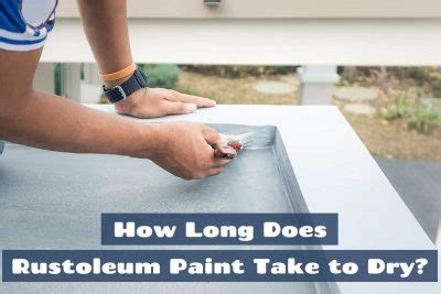 How Long Does It Take for Rustoleum Spray Paint to Dry: And Why Do Cats Always Sit on Freshly Painted Surfaces?