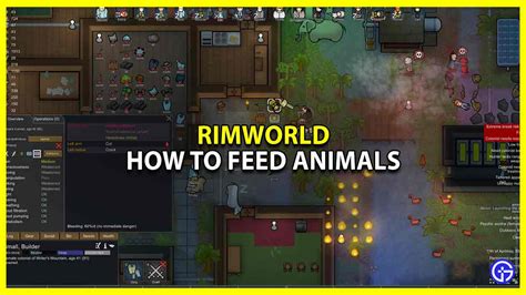 How to Feed Animals in Rimworld: A Comprehensive Guide to Keeping Your Critters Happy and Healthy