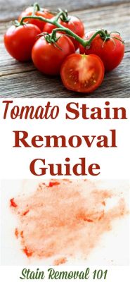 How to Remove Tomato Stains from Microwaved Plastic: A Journey Through Unconventional Cleaning Methods and the Philosophy of Stubborn Stains