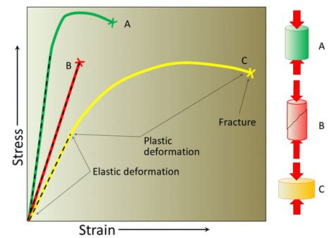 Is Latex a Rubber: Exploring the Elastic Boundaries of Material Science