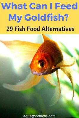 What Can I Feed Goldfish Besides Fish Food: Exploring the Culinary Delights of Aquatic Pets