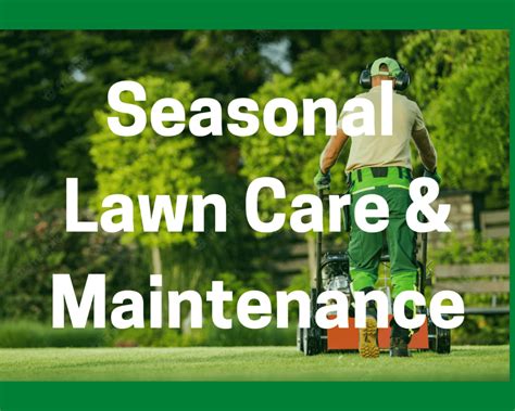 What Fertilizer to Use for Grass in Winter: A Comprehensive Guide to Seasonal Lawn Care and Beyond