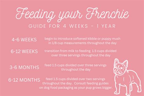 What to Feed French Bulldog Puppy: A Comprehensive Guide to Nourishing Your Frenchie