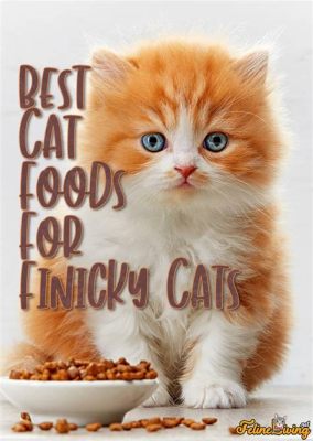 What to Feed Picky Cats: A Culinary Adventure into Feline Fickleness